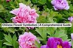 Chinese Flowers Symbolism: Sign of Luck