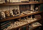Discoveries and Insights from Artistryrealm