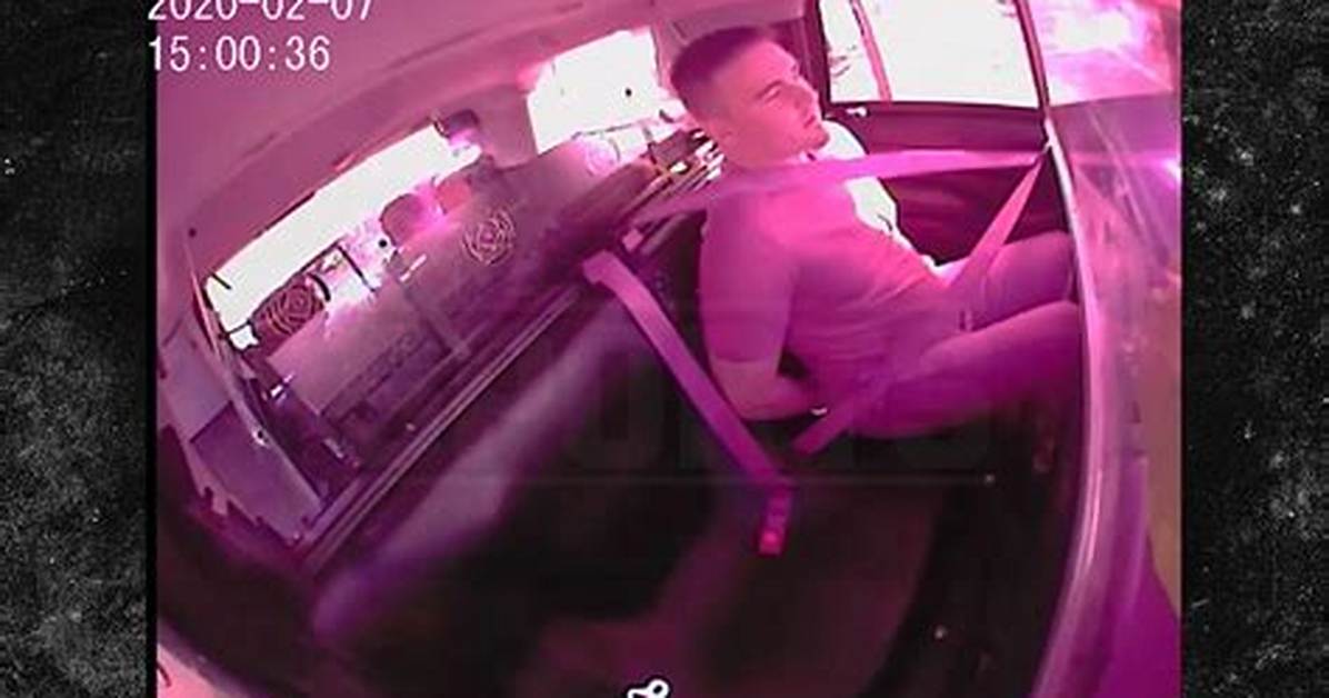 Dollar Tree Exposed Baseball Player Reese Mcguire Arrested Video Gone Viral |