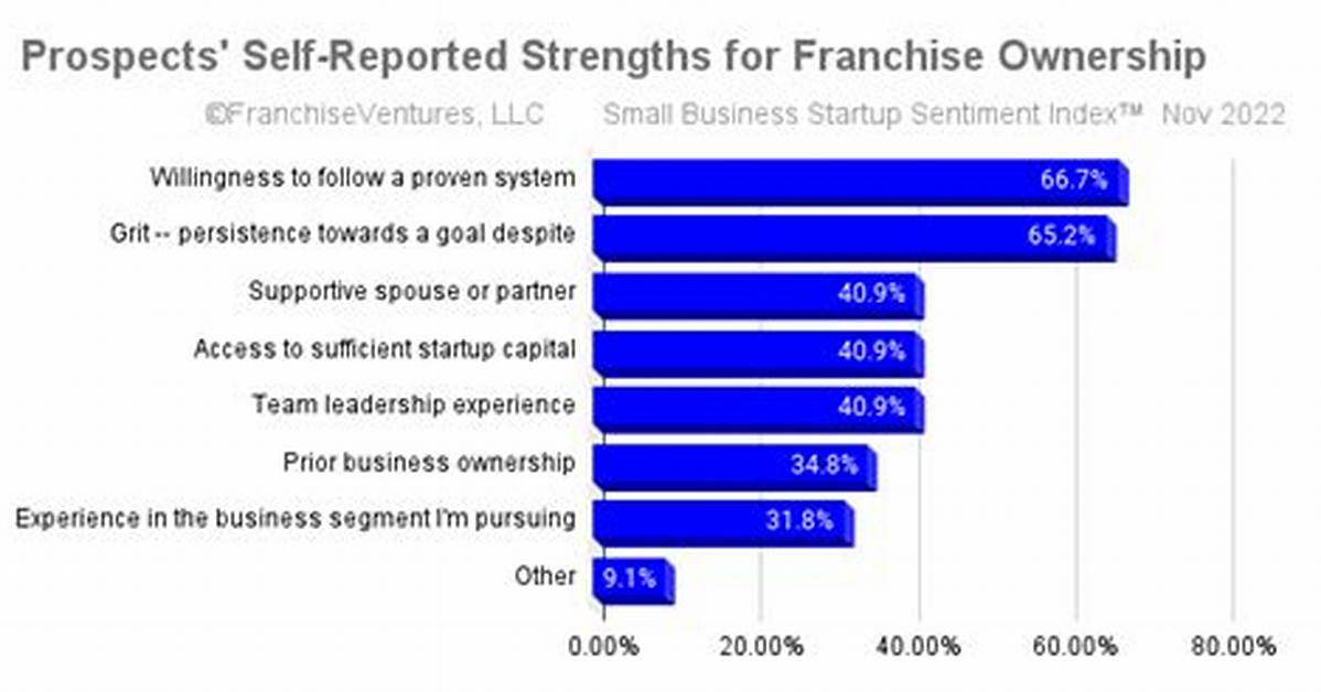 Ownership, Success, and Future Prospects