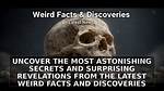 Surprising Revelations and Intriguing Facts