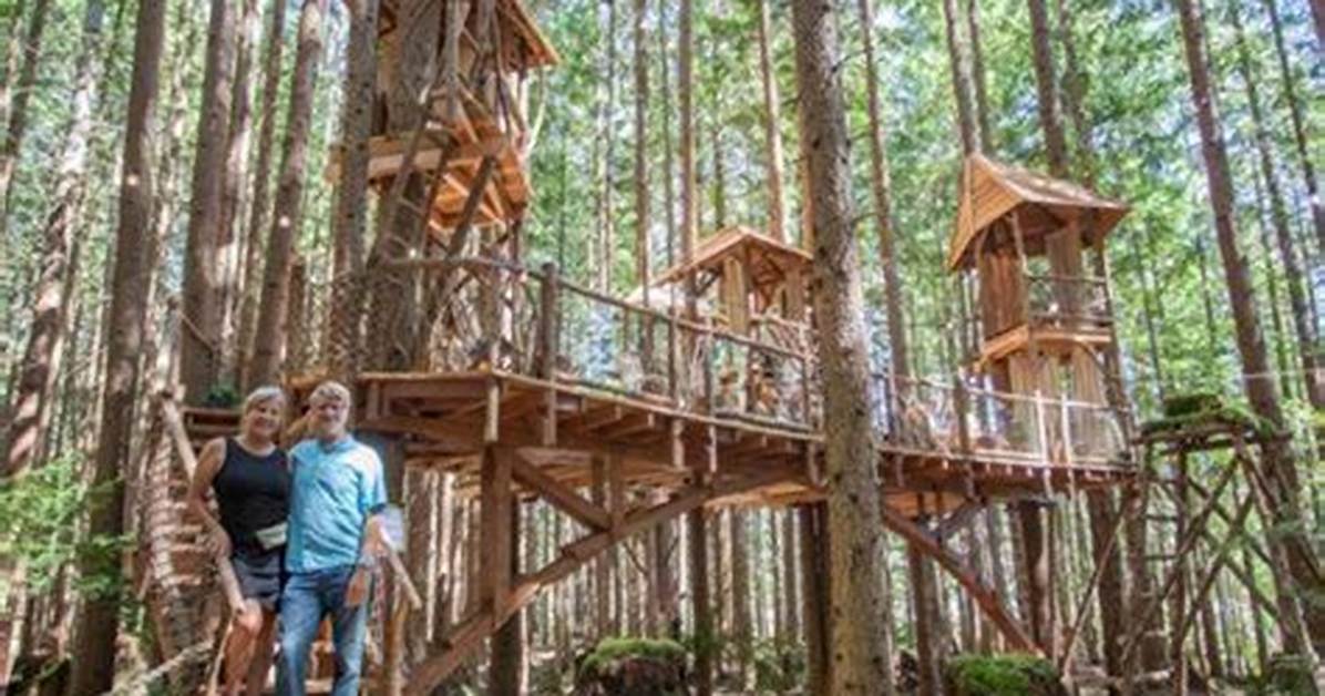 Understanding the Mystery Behind Treehouse Masters' Deaths